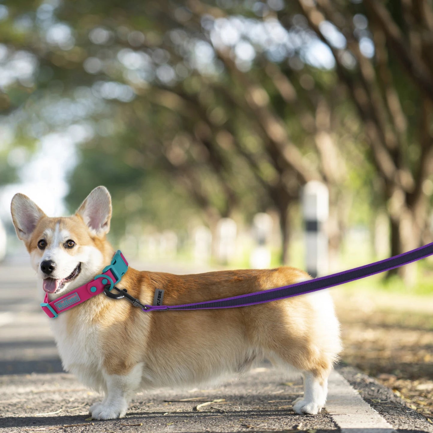 1.5M/2M/5M/3M/15M Training Dog Leash