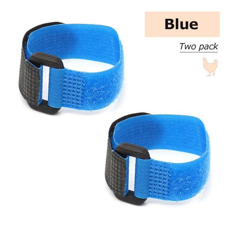 No Crow Rooster Collar 2-Pack - Humane Noise Reduction for Backyard Roosters - Adjustable Chicken Collar Australia