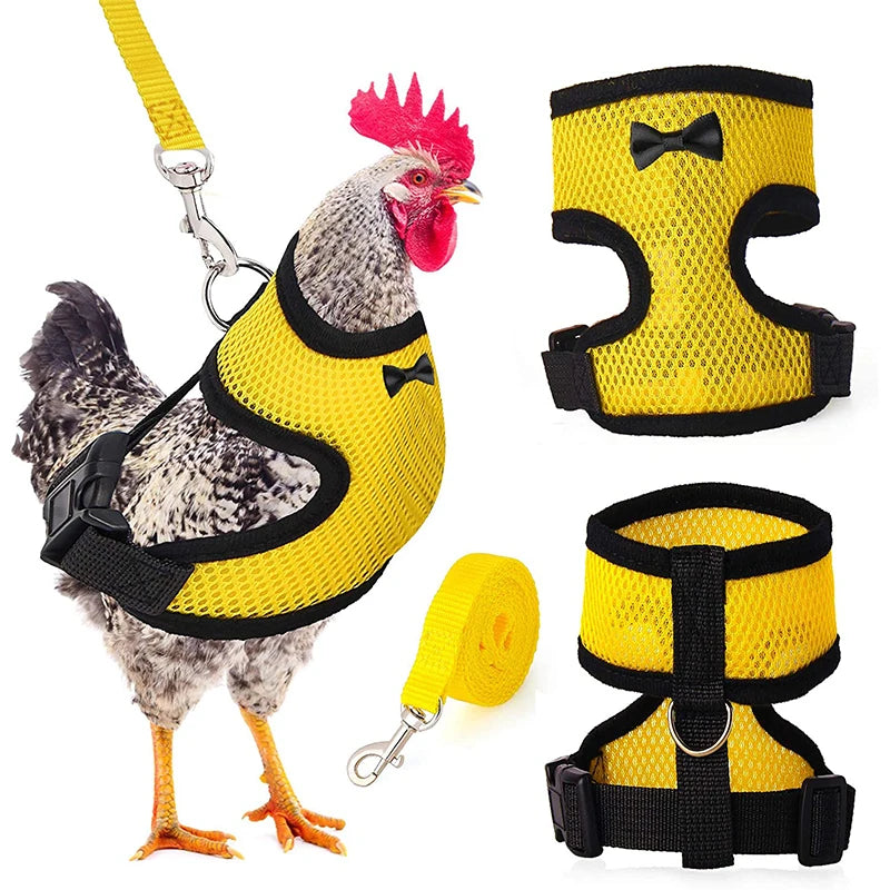 chicken-walking-harness-backyard-poultry