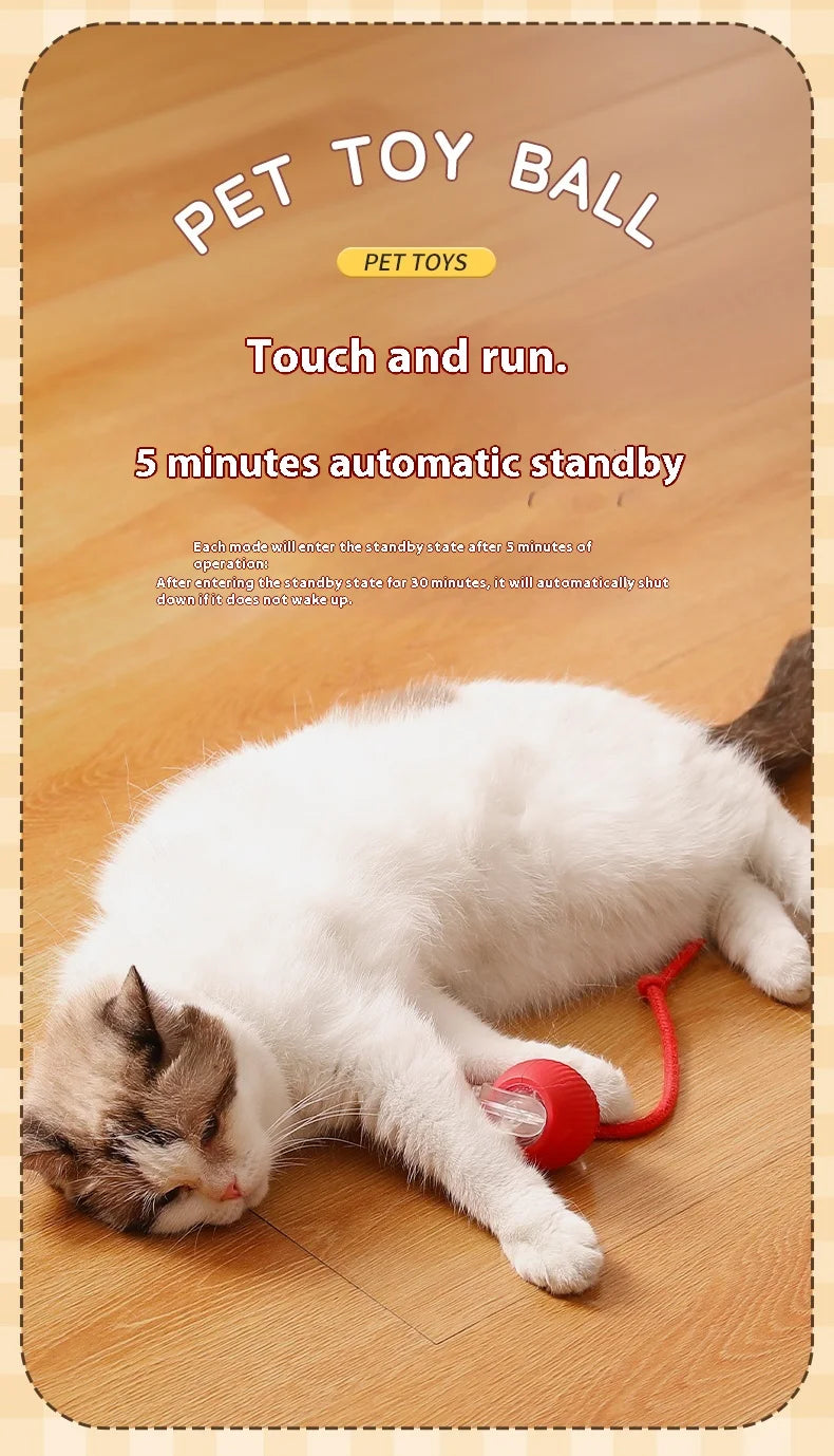 2Pcs Cat Interactive Ball Toys