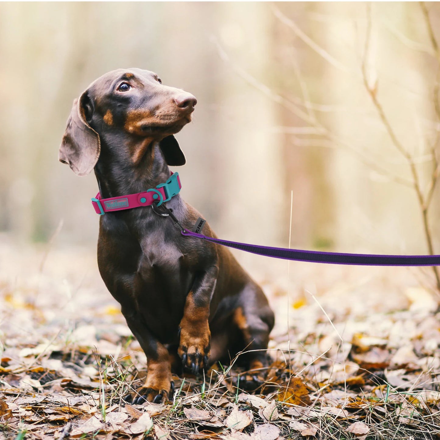 1.5M/2M/5M/3M/15M Training Dog Leash