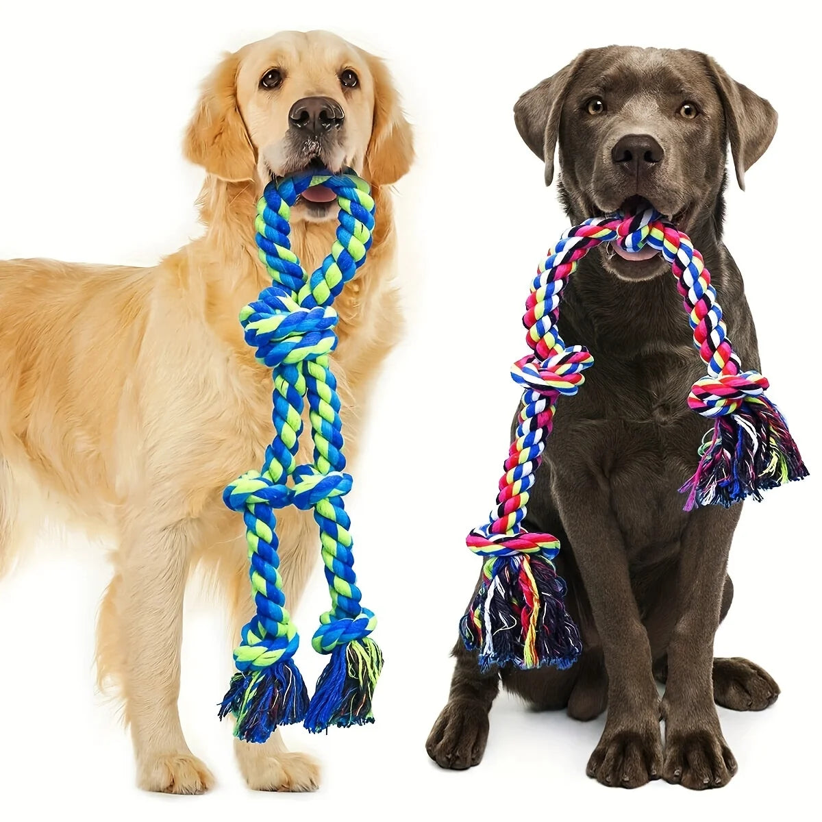 Two dogs with colorful rope toys on a white background
