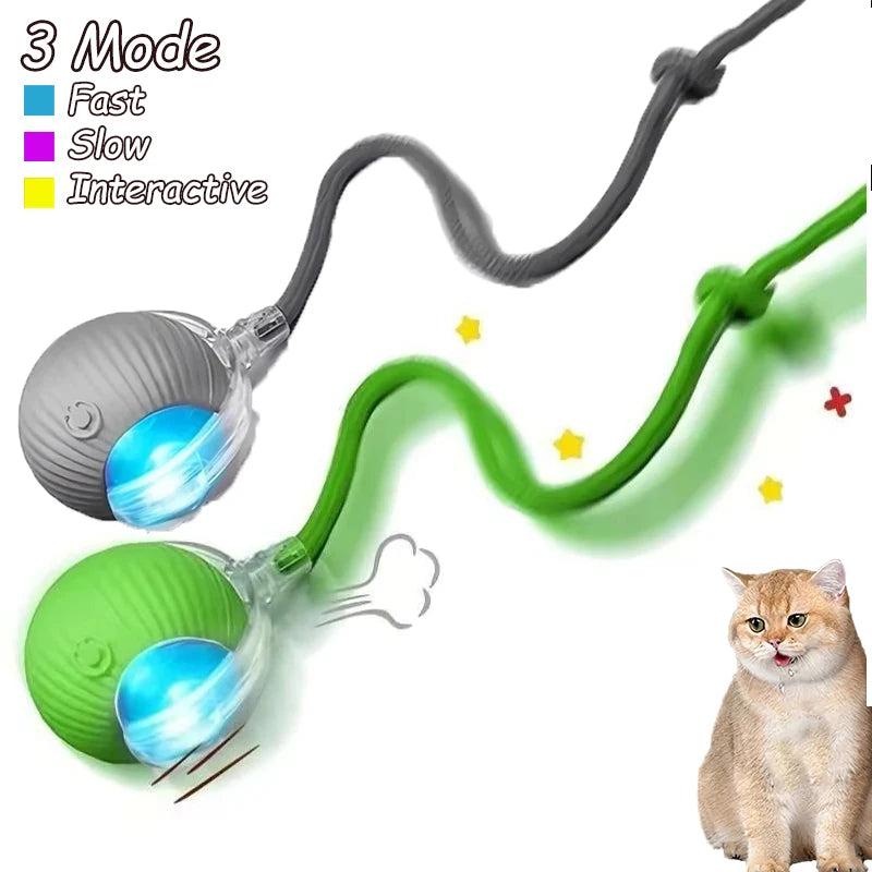 Smart interactive cat ball toy 2-pack with motion sensors and automatic rolling for indoor cats