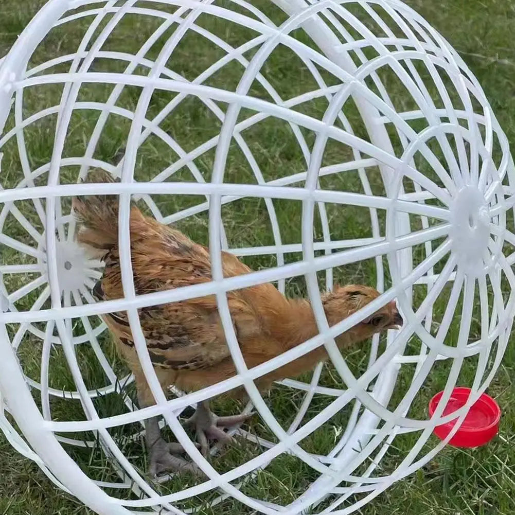 2/3pcs 20/30cm Chicken Rolling Ball Cage
