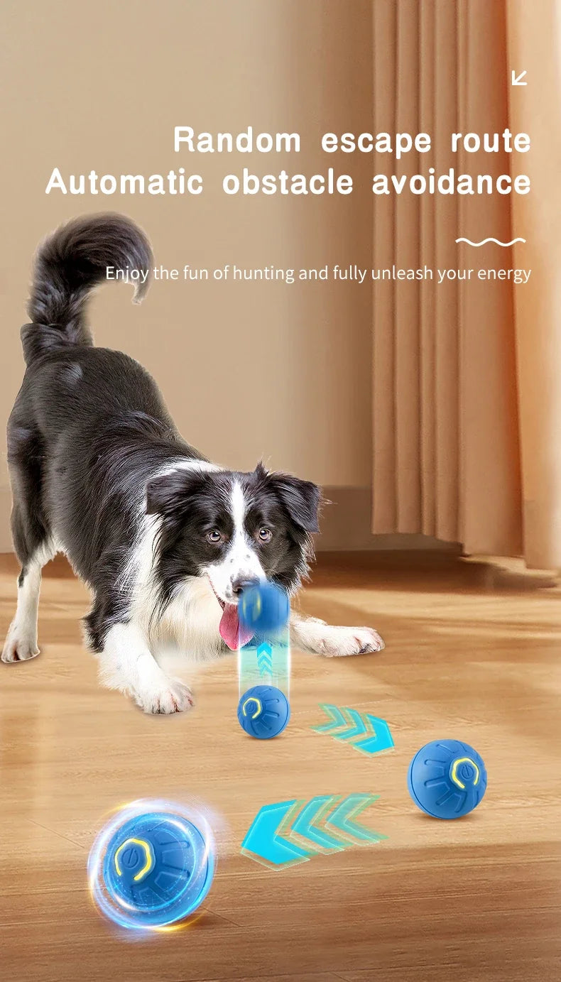 Smart Dog Toy Ball