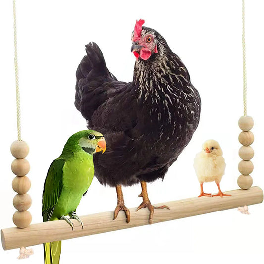 Chicken, parrot, and chick on a wooden perch with beads