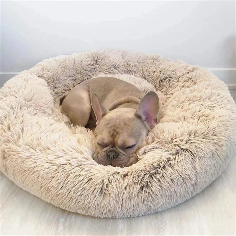 Super Soft Pet Plush Bed