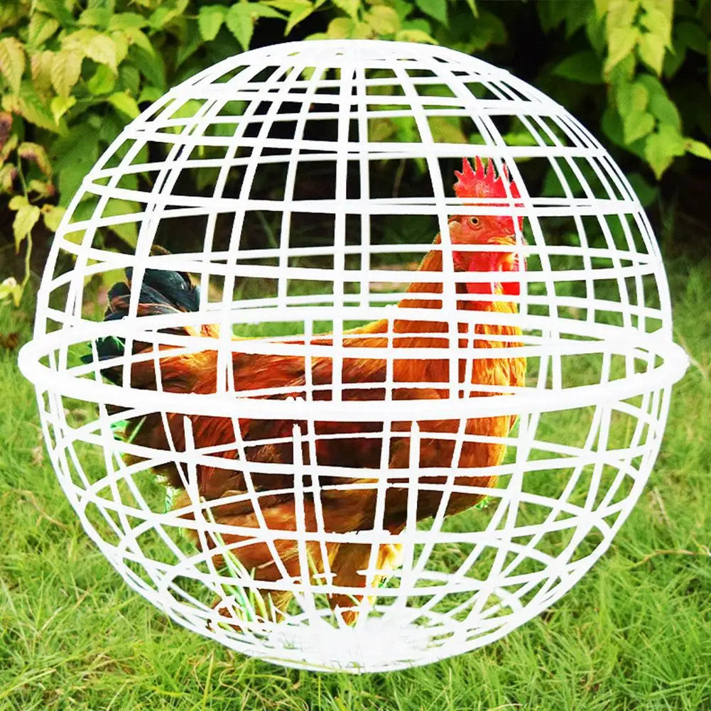 2/3pcs 20/30cm Chicken Rolling Ball Cage