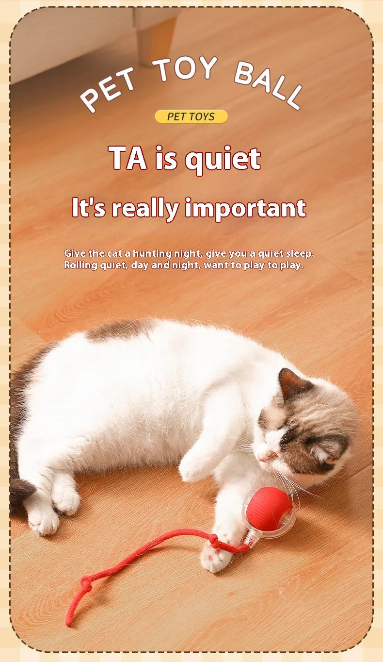 2Pcs Cat Interactive Ball Toys