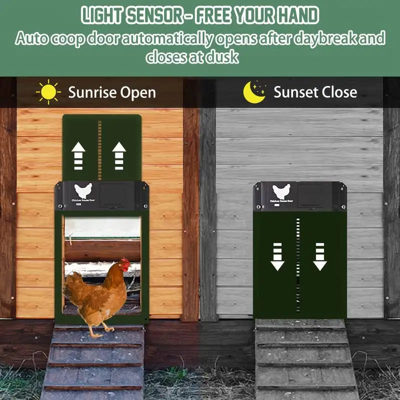 Automatic Chicken Coop Door Chicken Door