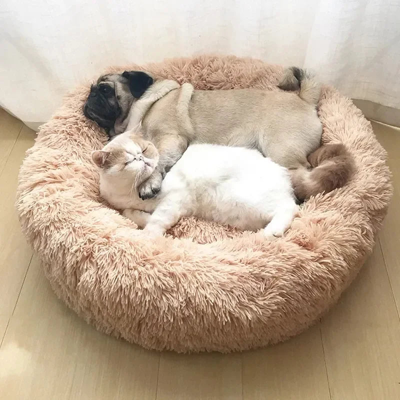 Super Soft Pet Plush Bed