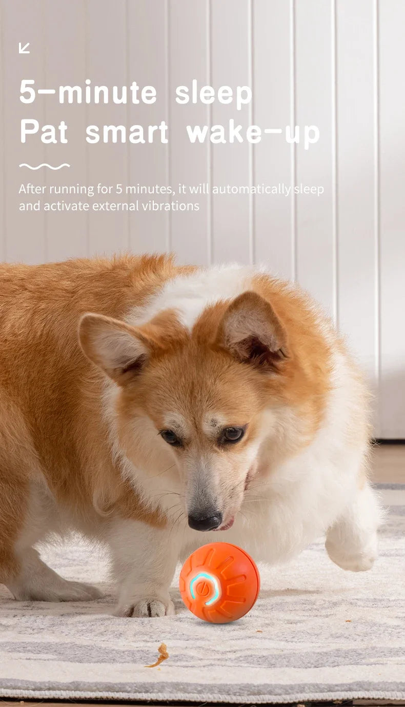 Smart Dog Toy Ball