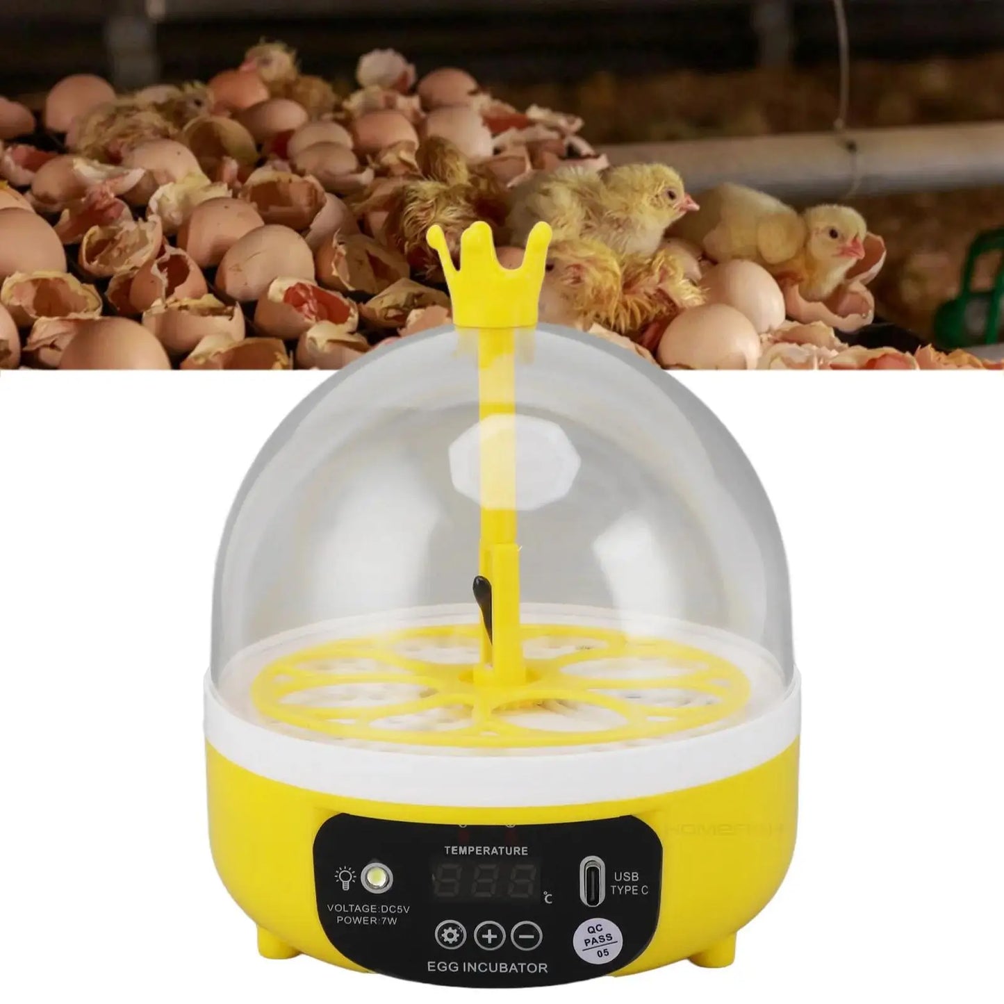 Mini home egg incubator