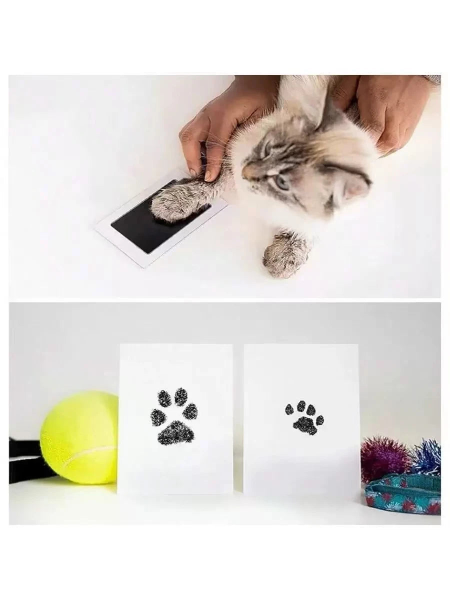 DIY Inkless Nose and Pawprint Impression Making Kit